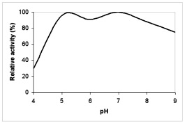 Amylase 380 enzyme