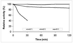 Amylase 380 enzyme